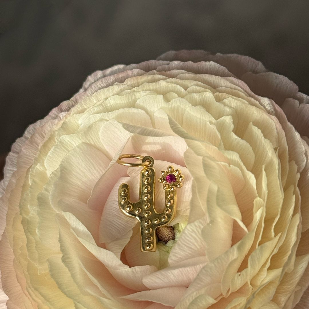 The Light We Choose to Carry