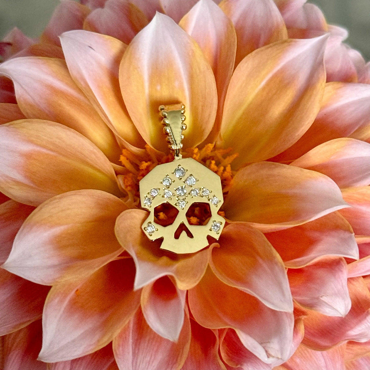 A Little Dark Magic: Skulls, Serpents & Sparkly Spells