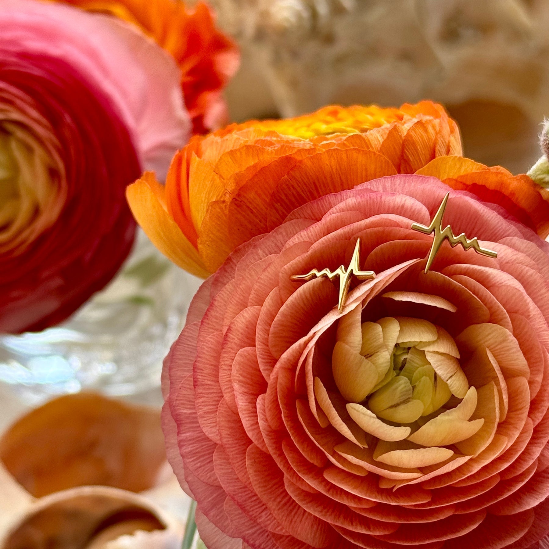 Delphine Leymarie solid gold heartbeat studs symbolizing love, styled on vibrant ranunculus flowers.