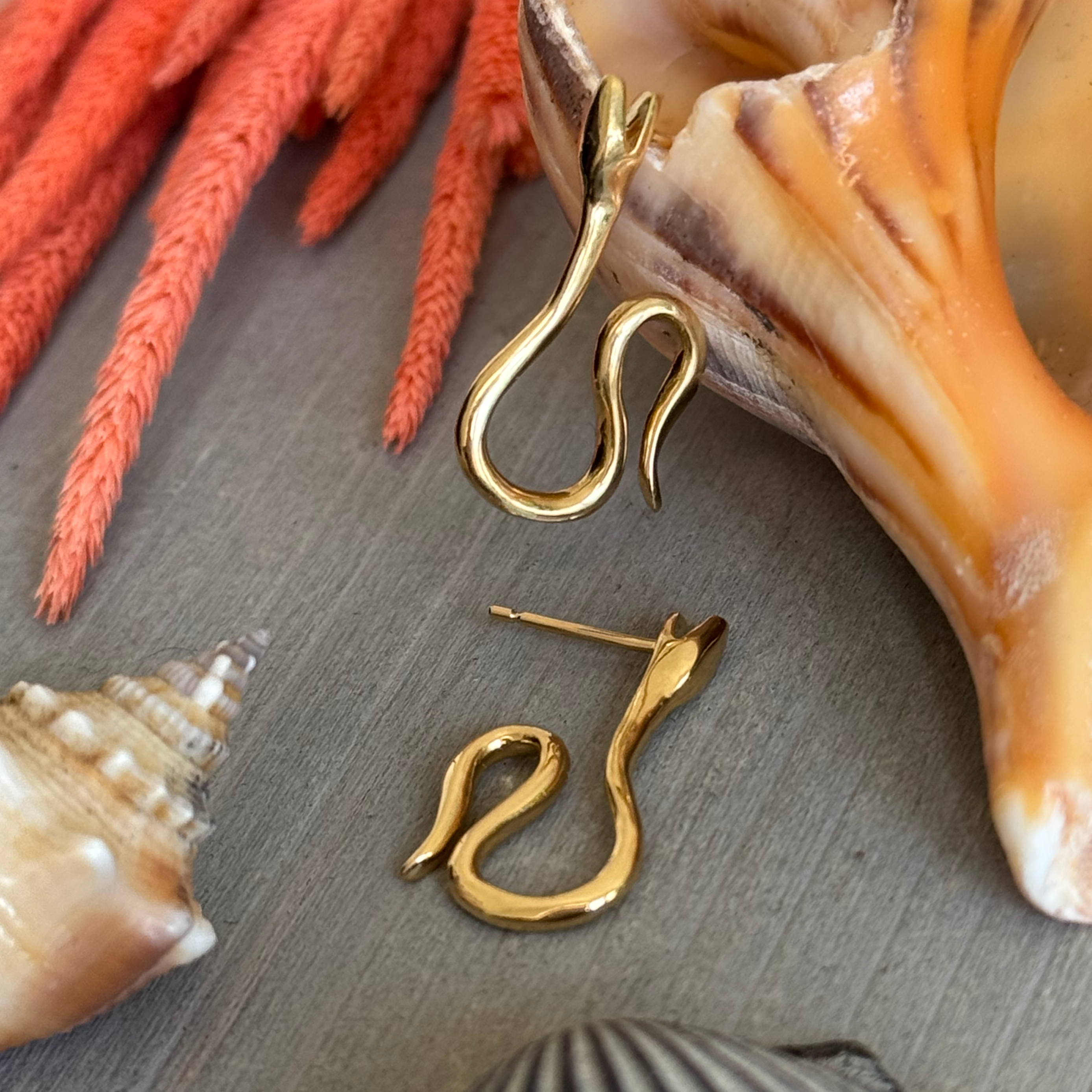 A pair of gold serpentine hoop earrings displayed inside a large seashell, with other shells around it.