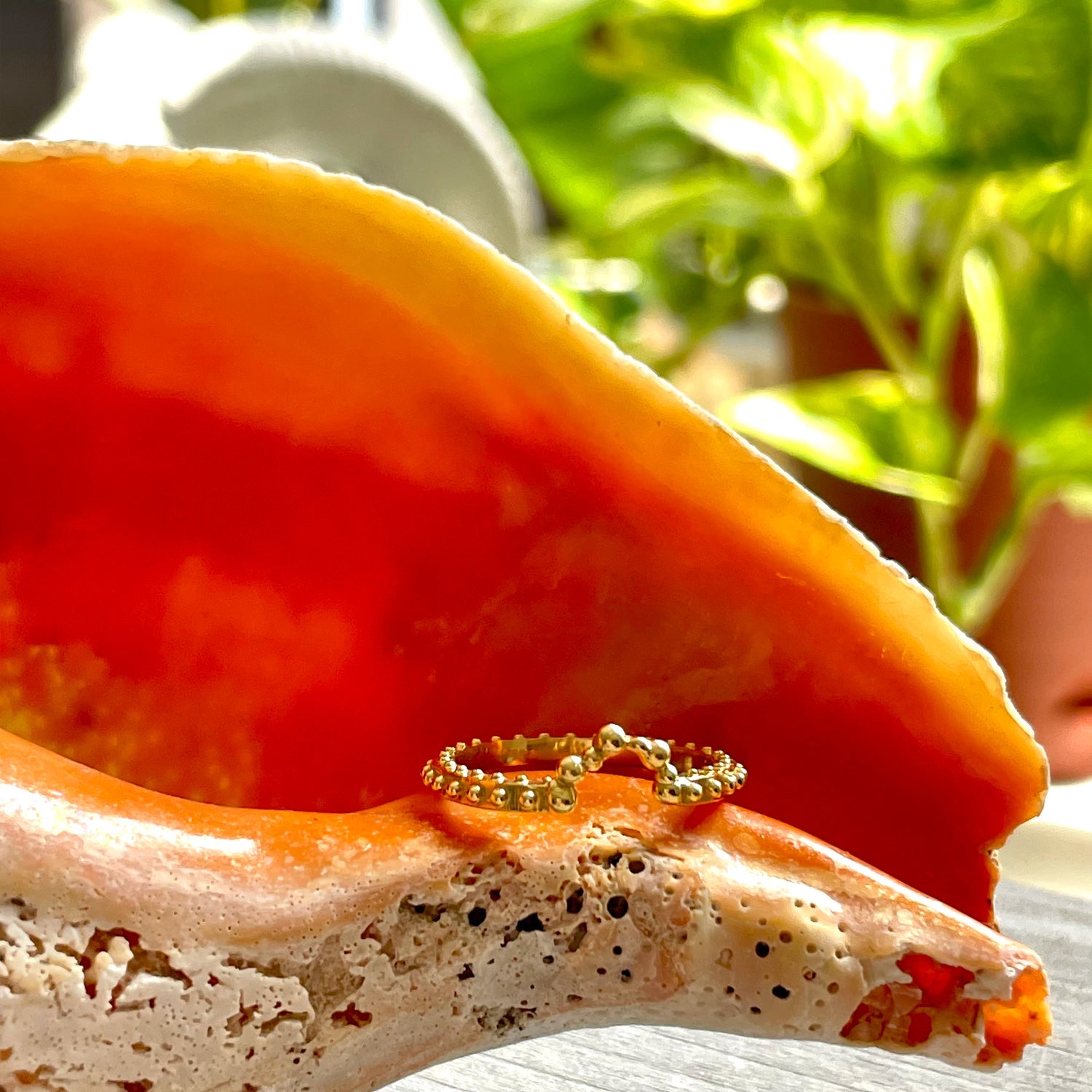 BOHEME BUBBLE CROWN RING | In-Stock