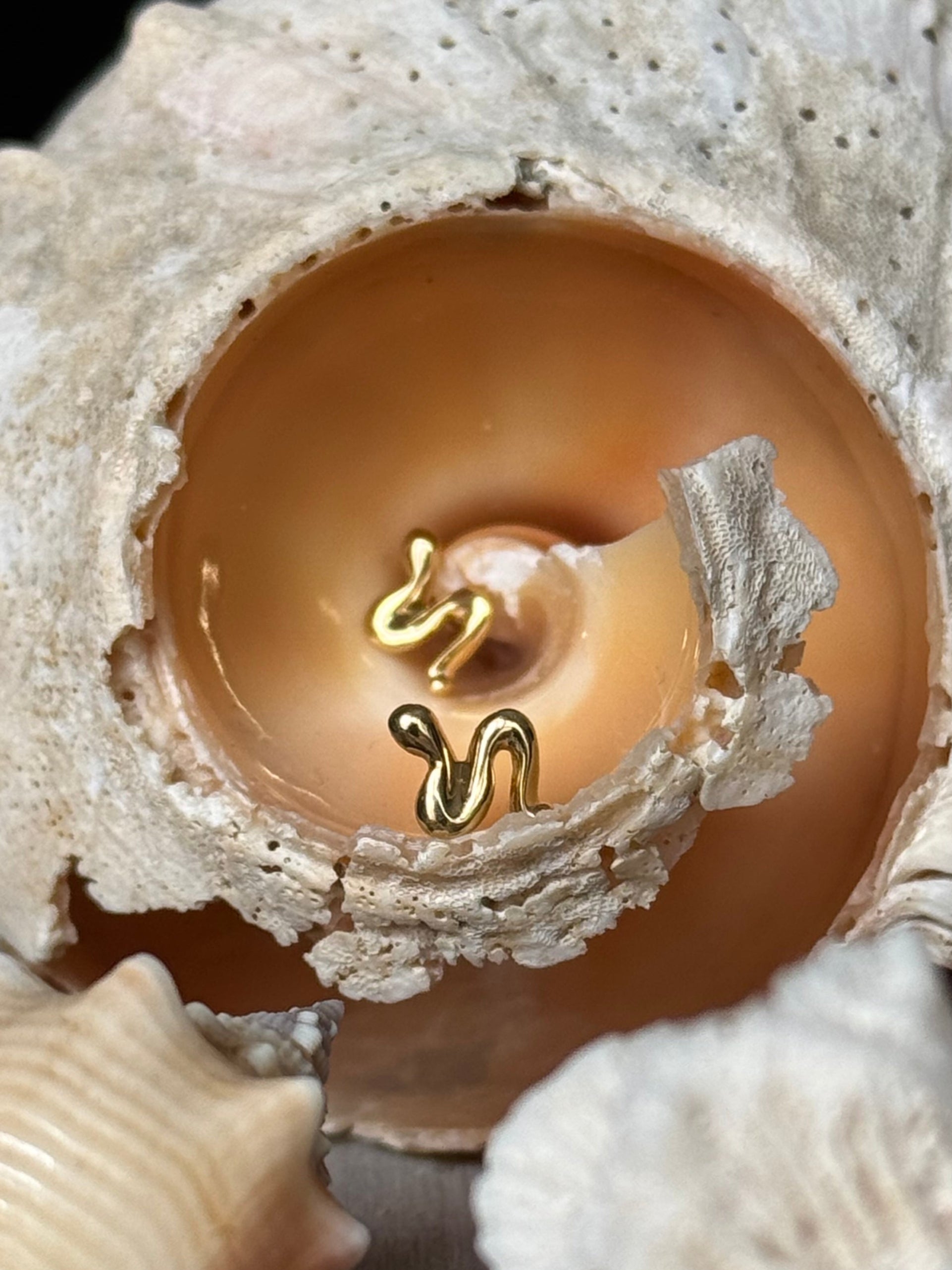 BOHEME PETIT SNAKE STUDS | In-Stock