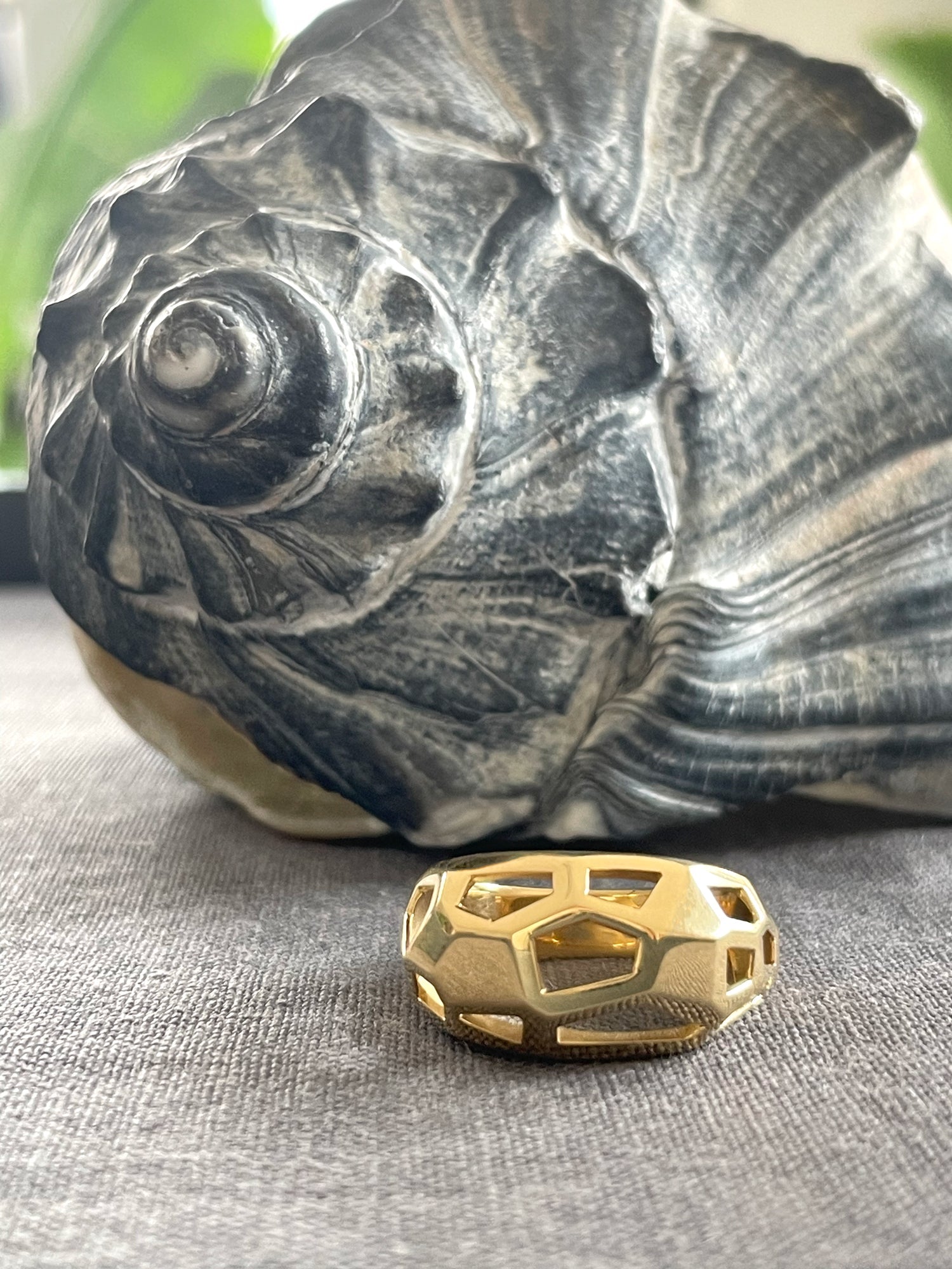 FACETTE PETITE CAGE RING | In-Stock