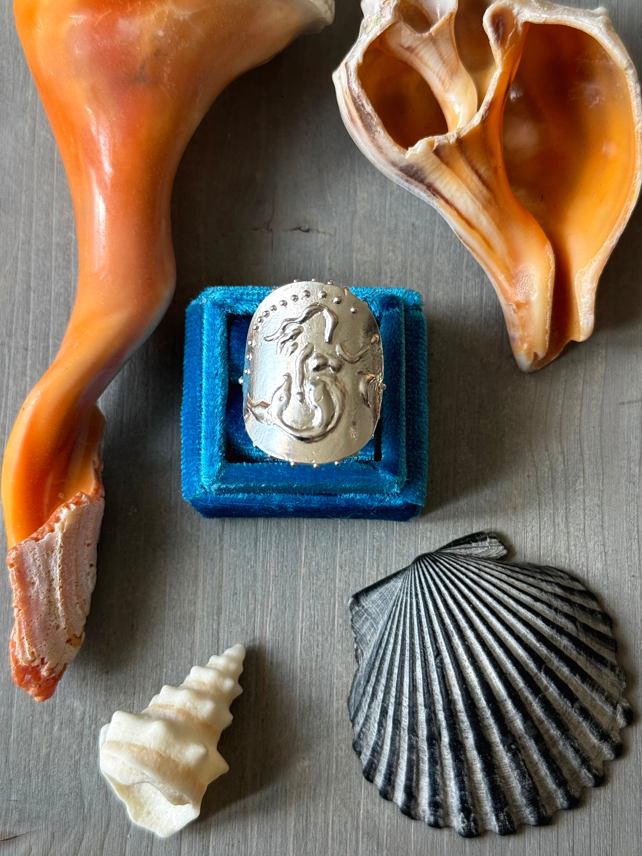 Top view of SeaSpell Silver Mermaid Ring in Blue Velvet box with Shells