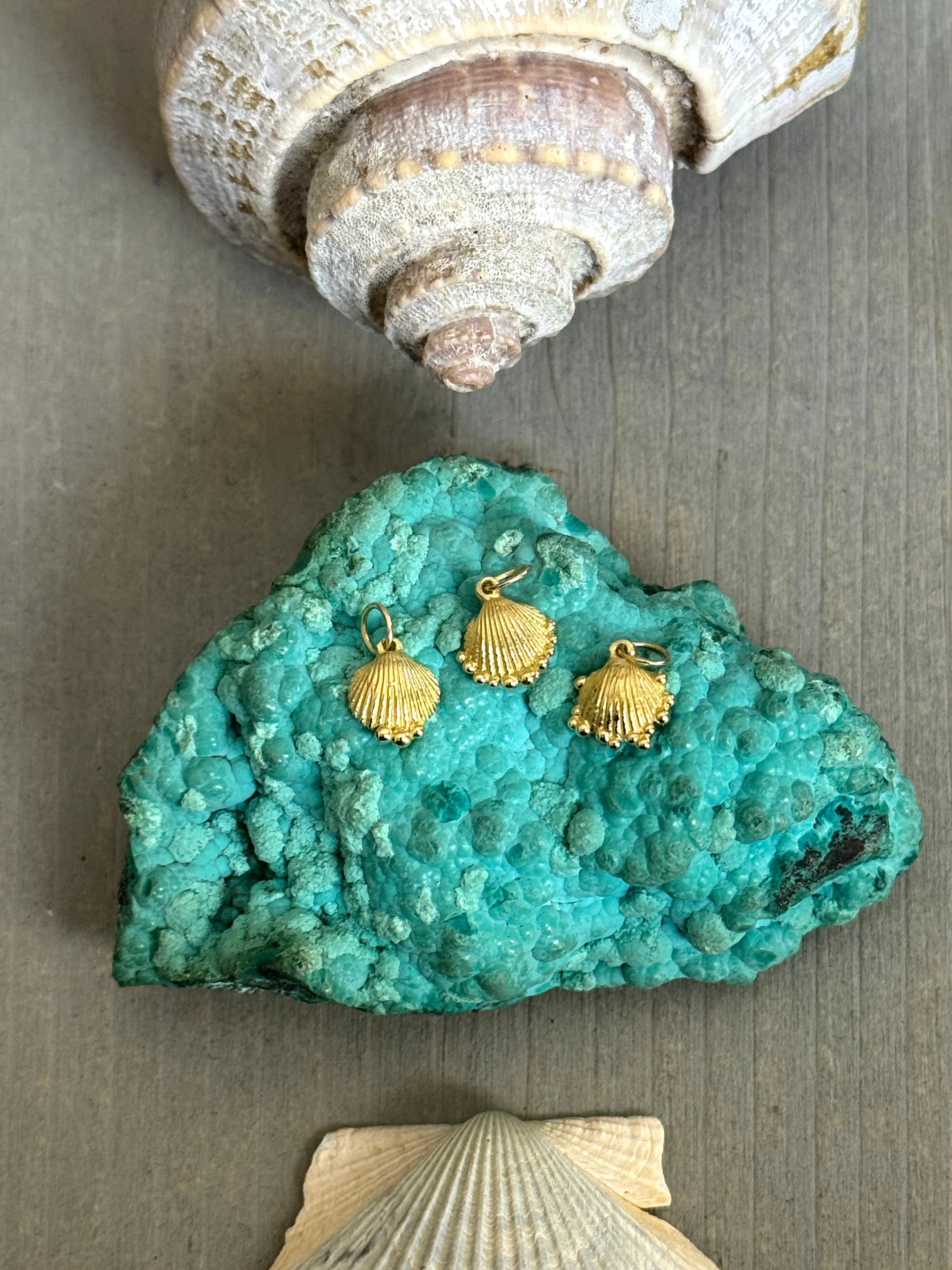 SEASPELL | PETITE SHELL CHARM | In-Stock