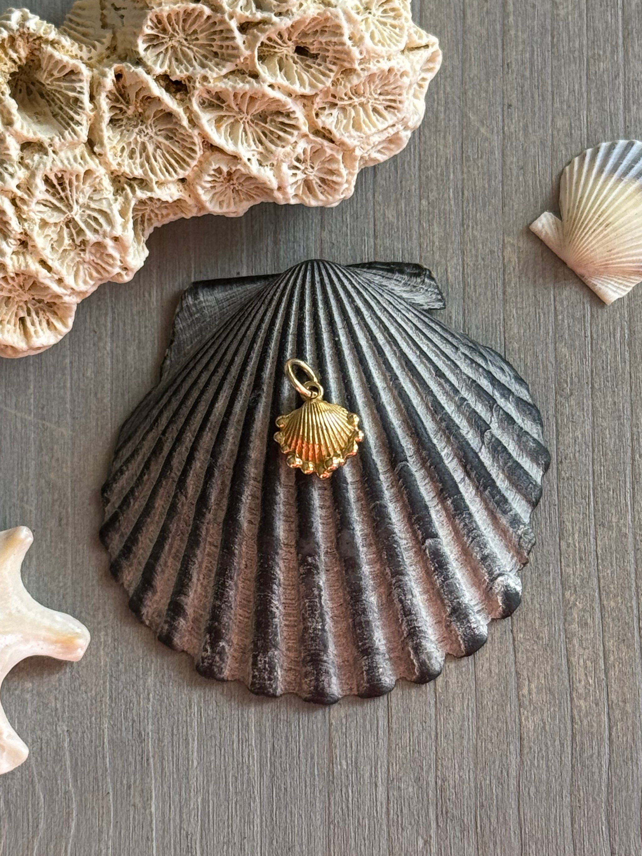 Delphine Leymarie Petite Shell charm in solid 18k recycled yellow gold resting on a natural scallop grey shell