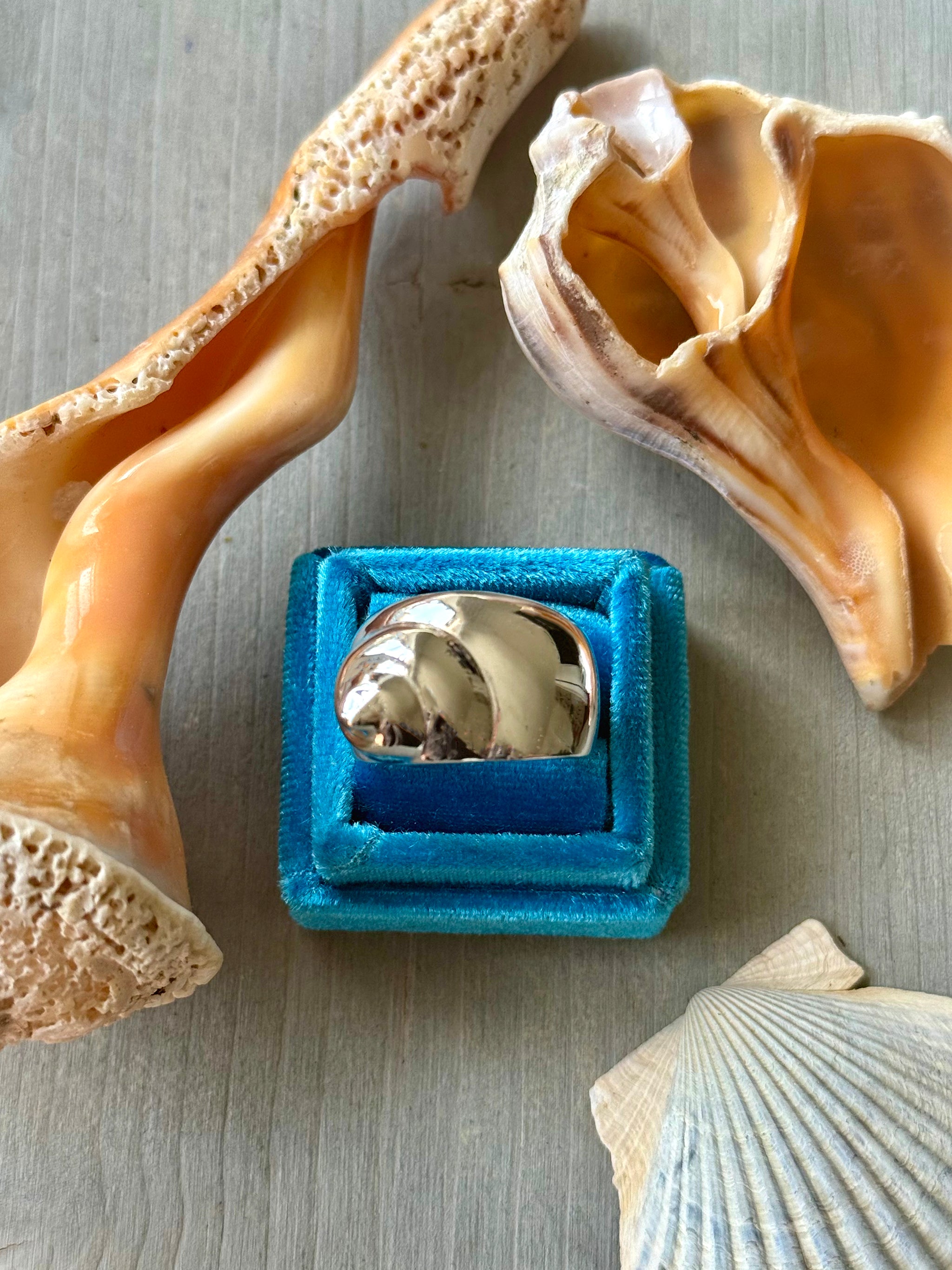 SeaSpell Shell Ring