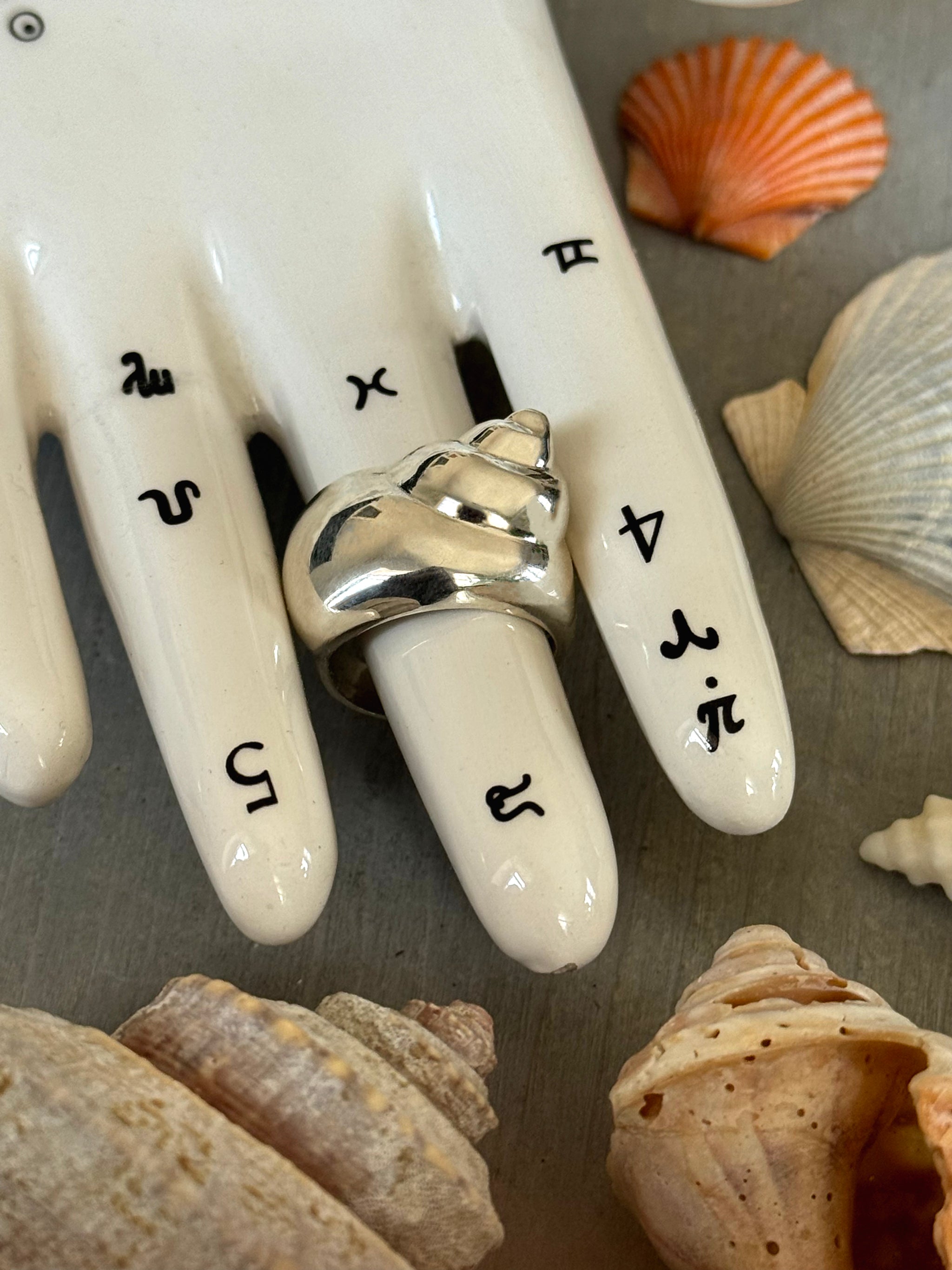 SEASPELL | SHELL RING | In-Stock