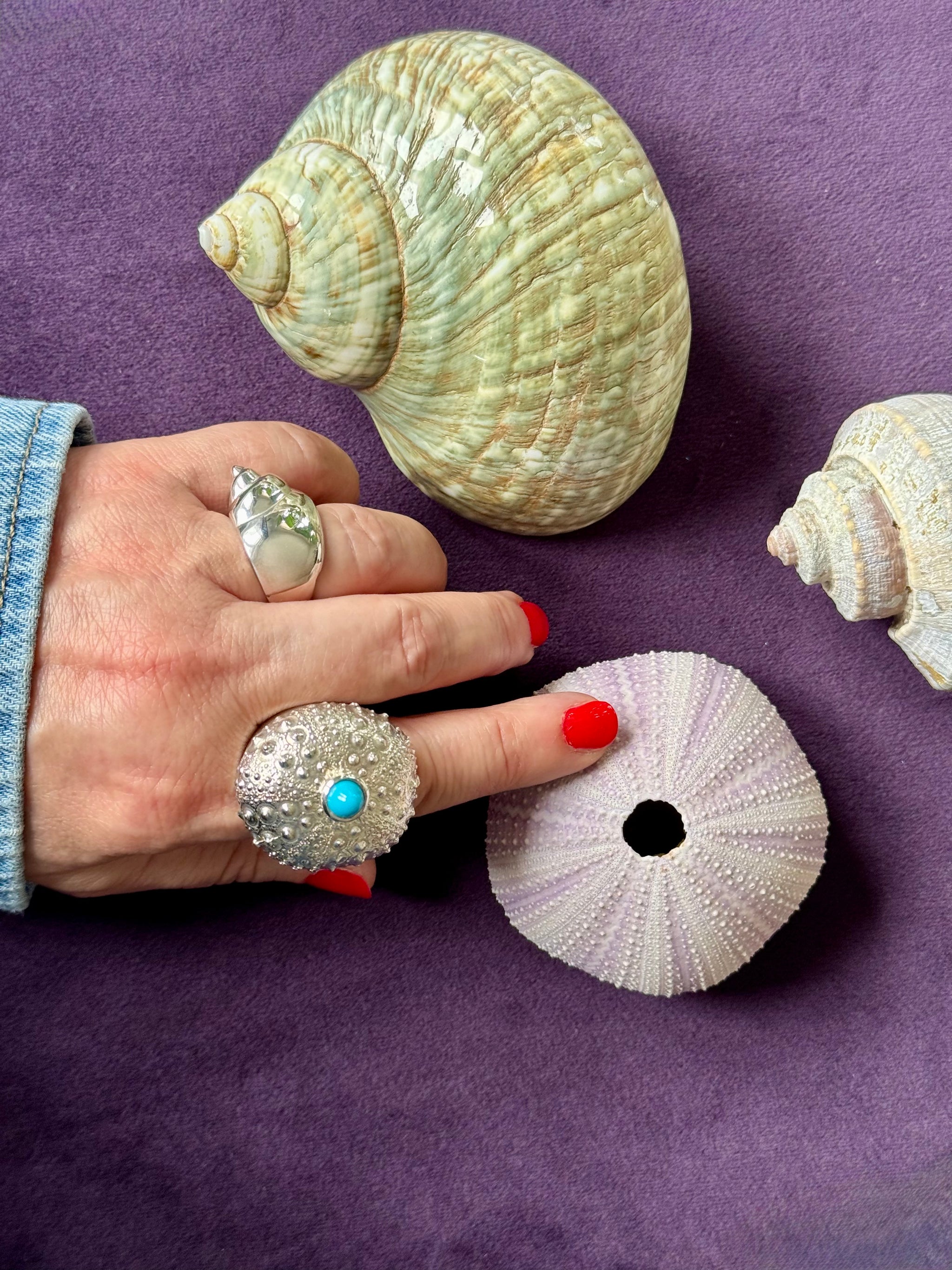SeaSpell Shell Ring
