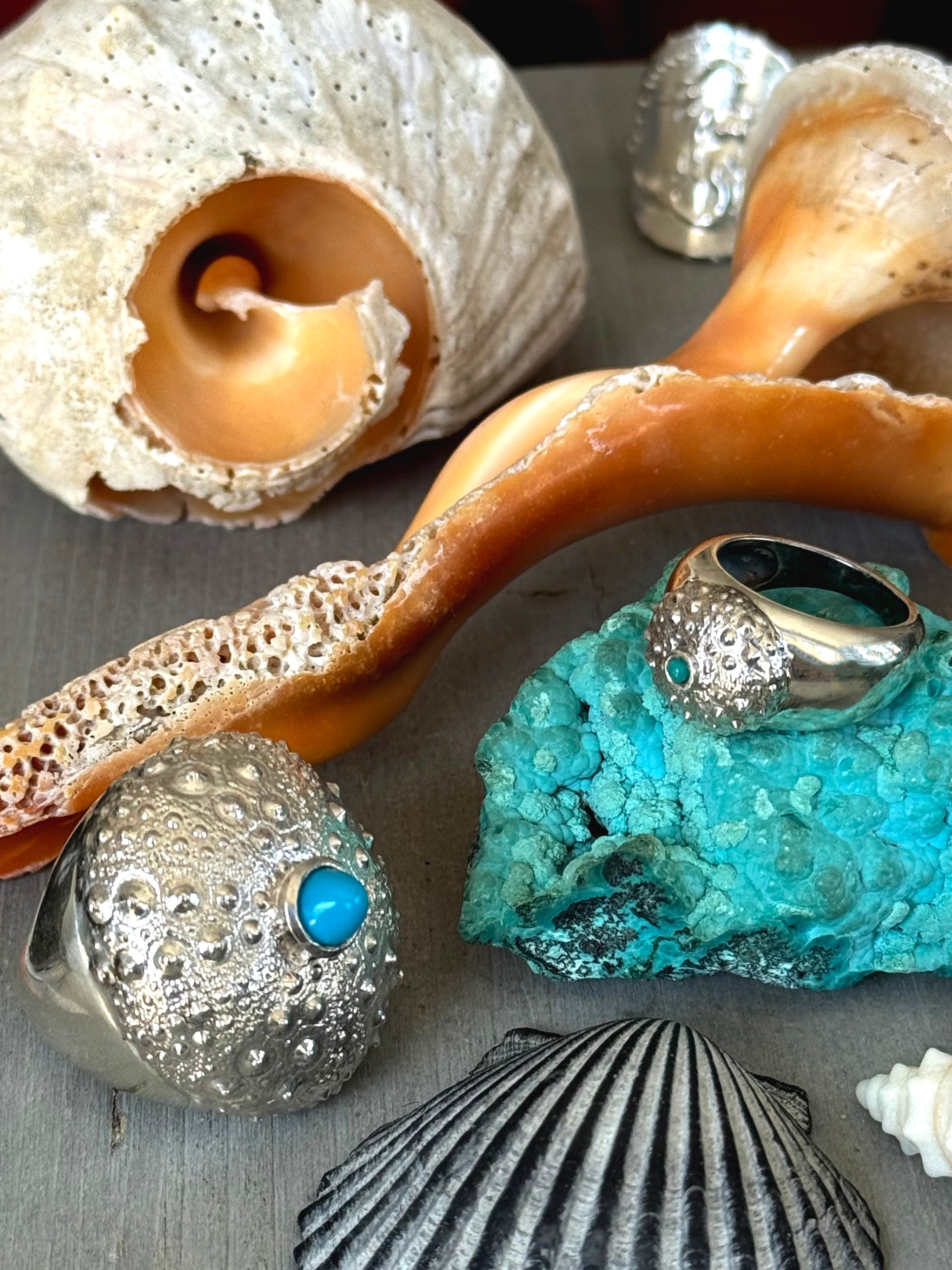 SeaSpell Grand and Petit Urchin turquoise silver Ring on Grey Wood with Shells