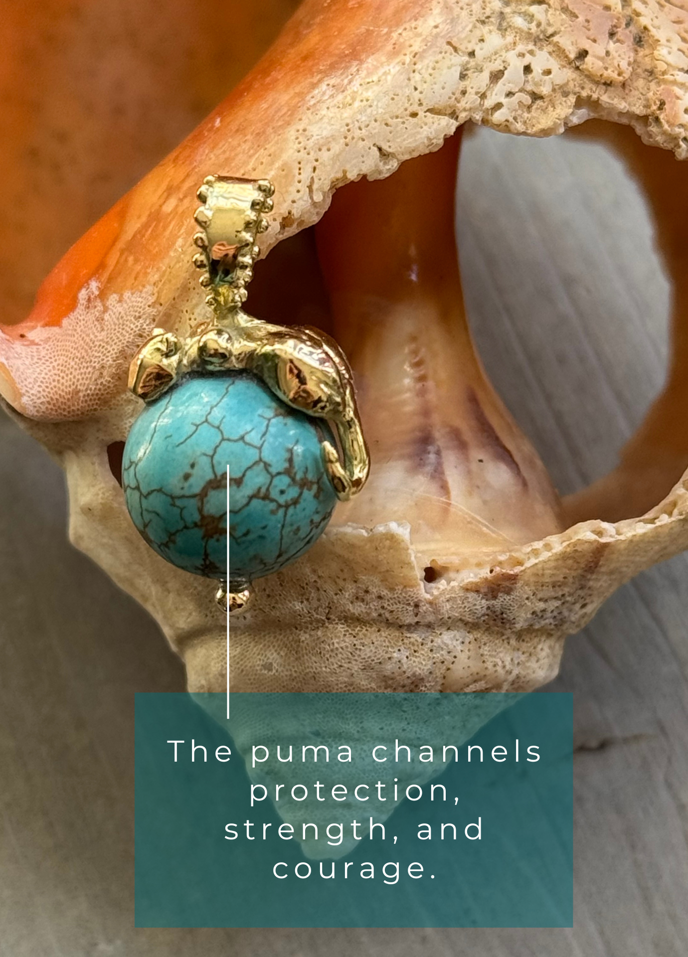 BOHEME TURQUOISE PUMA CHARM