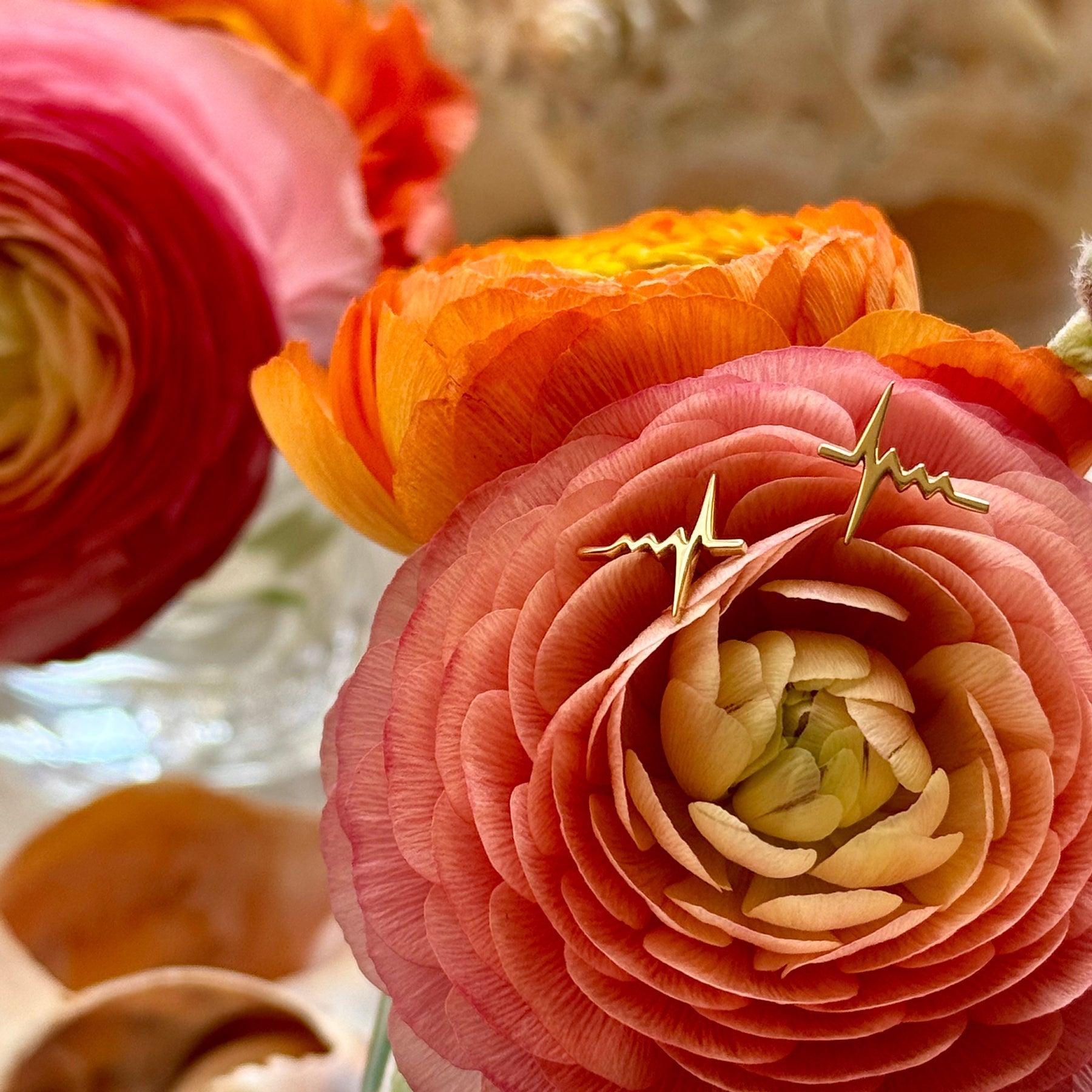 Love, in All Its Forms: A Valentine’s Day Reflection on Symbolism and Strength