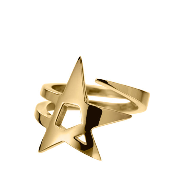 Symbol: The Star | L'Etoile