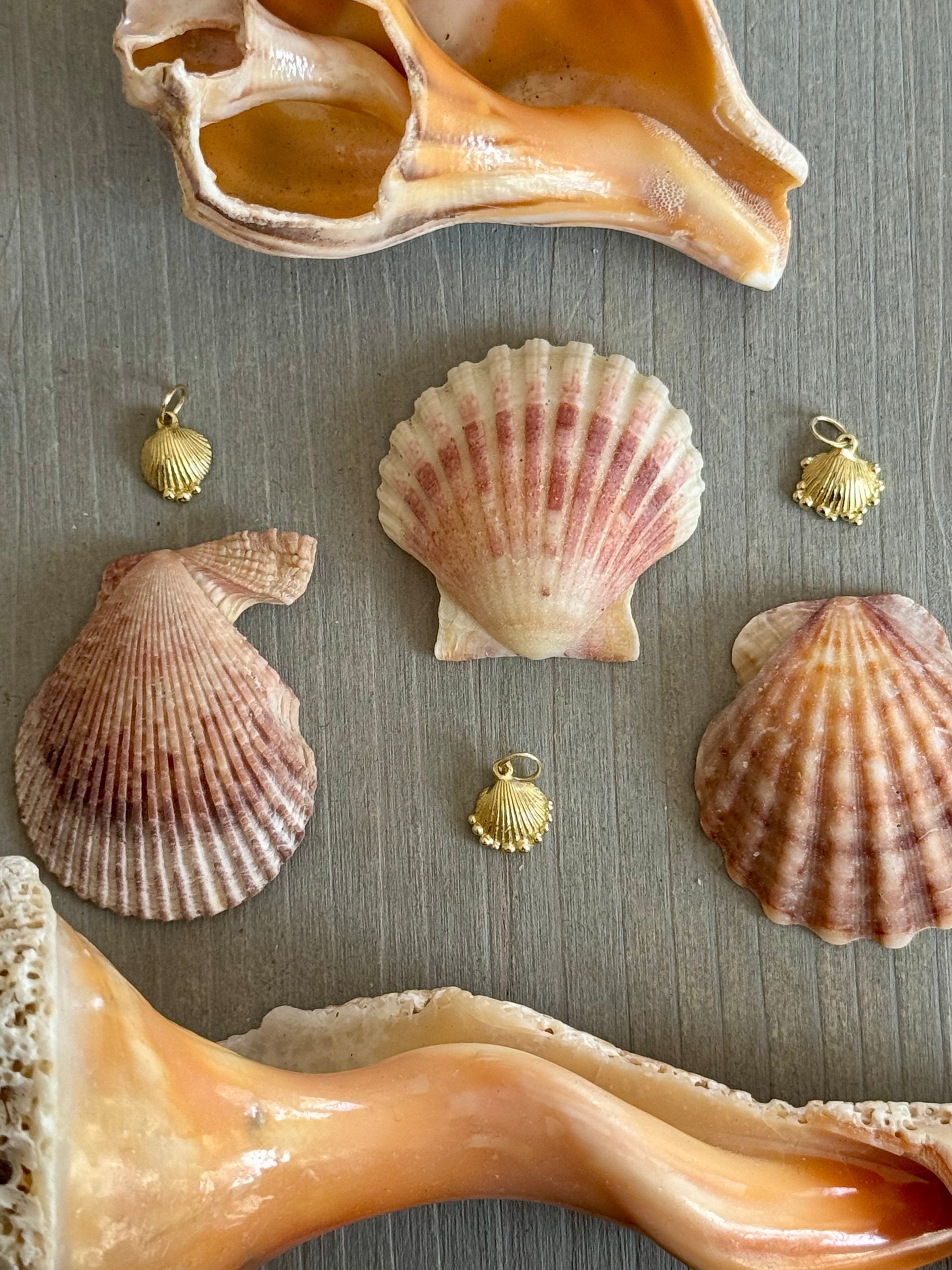 SeaSpell collection banner featuring sculpted silver ocean-inspired jewelry with turquoise, seashells, and poetic text overlay.