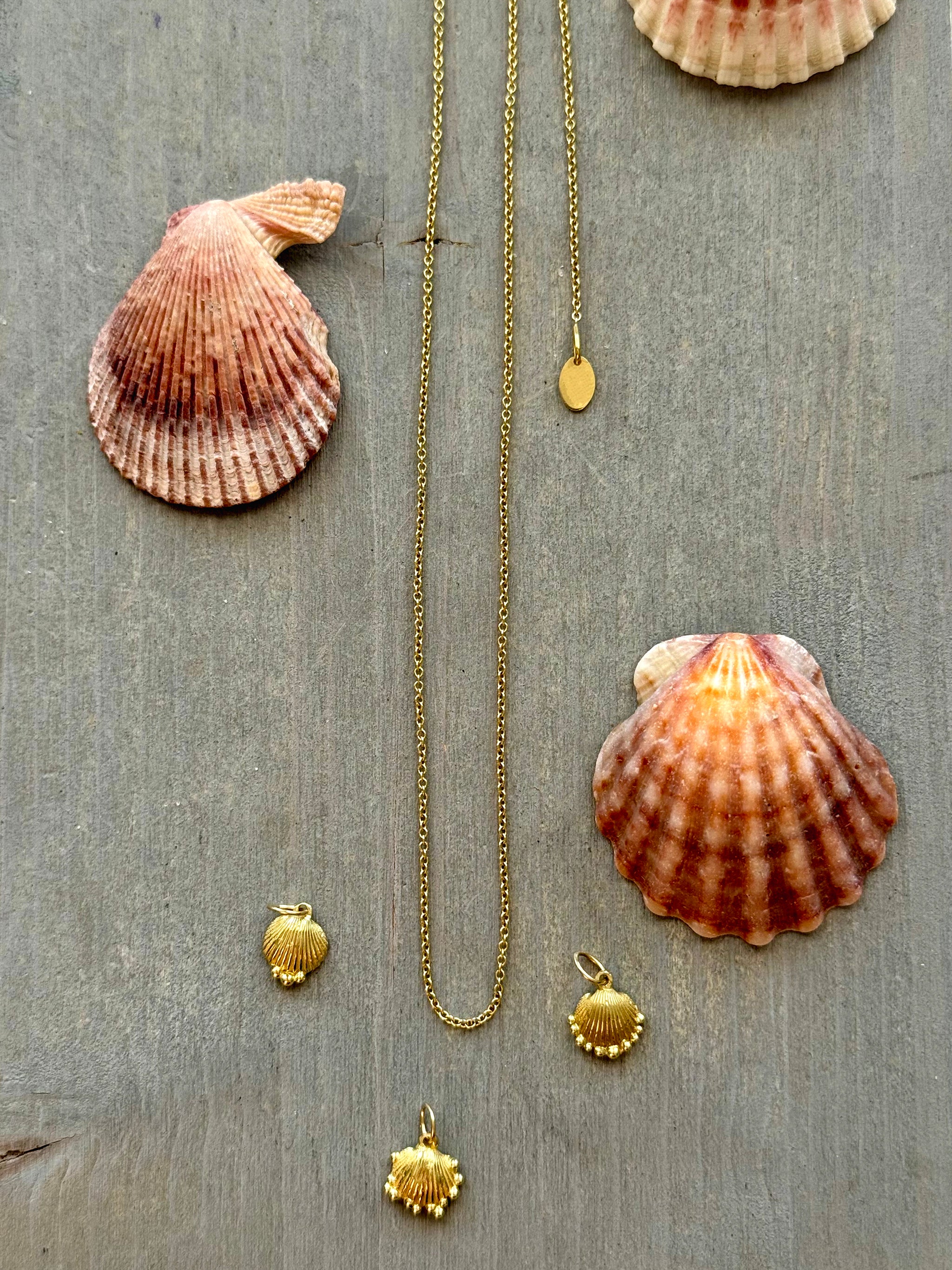 SEASPELL | PETITE SHELL CHARM