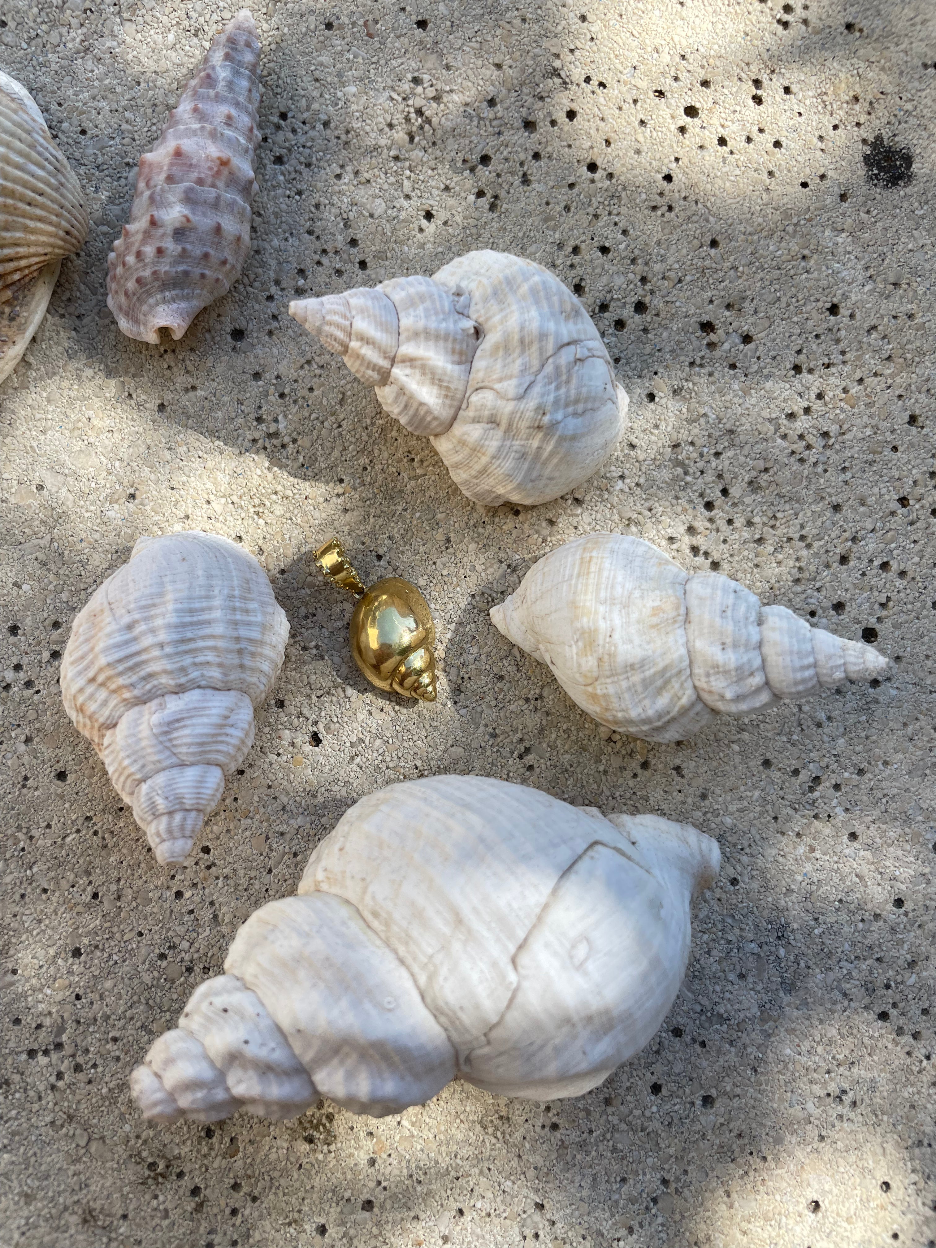 BOHEME SHELL CHARM